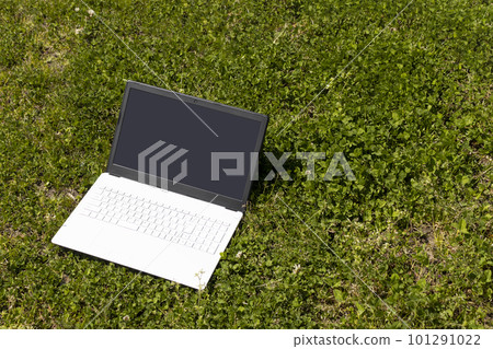 Laptop and meadow. Image of teleworking outside Laptop and meadow. Image of teleworking outside 101291022