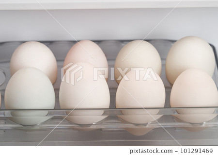 Organic white duck eggs in the fridge fresh from the farm ready for breakfast. Organic white duck eggs in the fridge fresh from the farm ready for breakfast. 101291469