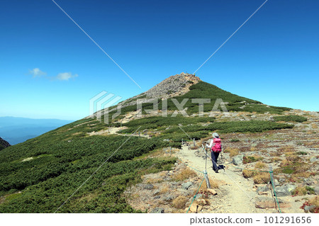 在乘鞍山富士見山附近行走的女登山者 101291656