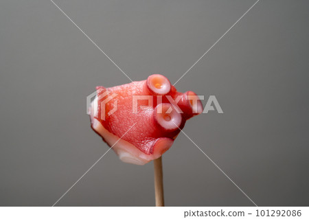 圖片照片 圖片照片 101292086