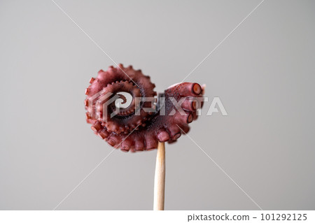 圖片照片 101292125