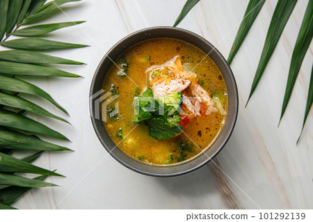 Portion of thai soup tom kha with chicken Portion of thai soup tom kha with chicken 101292139