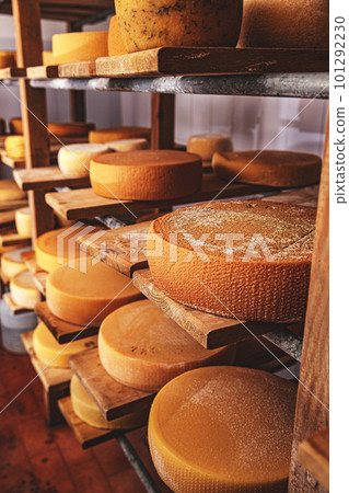 Wheels of cheese 101292230