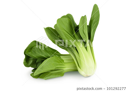 Fresh pak choi cabbage isolated on white background with full depth of field Fresh pak choi cabbage isolated on white background with full depth of field 101292277