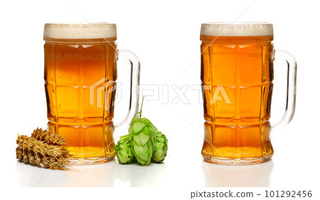 glass of foamy beer with hop cones and wheat isolated on white background glass of foamy beer with hop cones and wheat isolated on white background 101292456