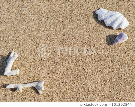 Sandy beach coral and shells 7 Okinawa 101292844