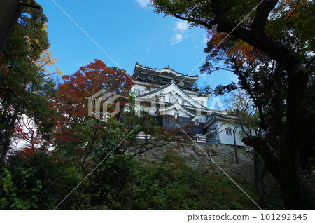 Okazaki Castle between trees 101292845