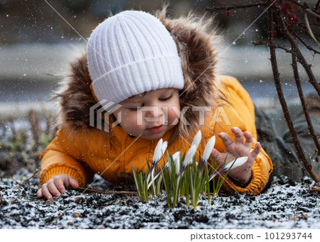Child looks at the first spring flowers Child looks at the first spring flowers 101293744