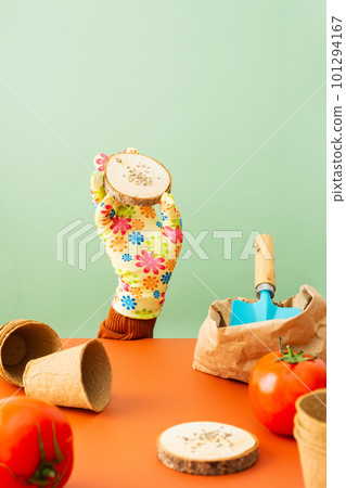 Hand in a glove planting tomato seeds Hand in a glove planting tomato seeds 101294167