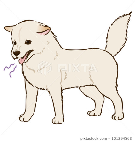 憤怒的柴犬(白柴犬) 憤怒的柴犬(白柴犬) 101294568