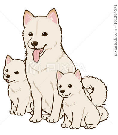 柴犬親子(白柴犬) 柴犬親子(白柴犬) 101294571