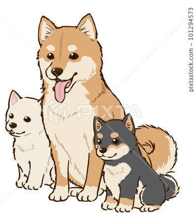 Parent and child of three-colored Shiba Inu Parent and child of three-colored Shiba Inu 101294573