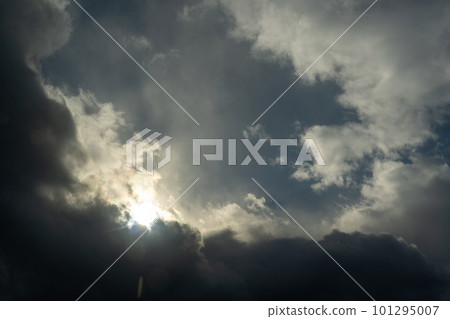 冬雲形象 冬雲形象 101295007