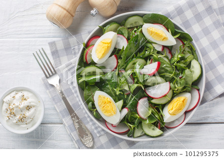 Fresh Polish spring salad from radish, cucumber, lettuce mix, spinach and eggs close-up in a plate on a wooden table closeup on the plate. Horizontal top view 101295375