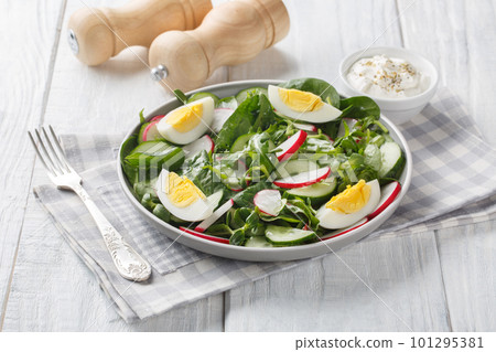Delicious appetizer salad with radish, cucumber, lettuce mix, spinach and boiled eggs close-up in a plate. Horizontal 101295381