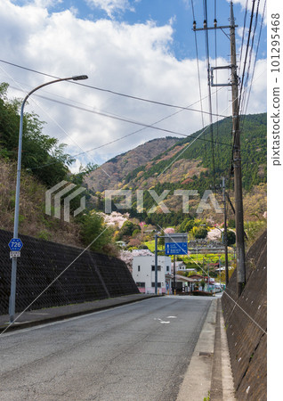 Harunosato Yagurazawa 南足柄市 Harunosato Yagurazawa 南足柄市 101295468