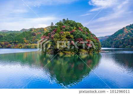 Autumn leaves scenery around Matsubara Dam in the background of clear autumn weather (Nakatsue, Oita Prefecture) (Oguni Town, Aso District, Kumamoto Prefecture) Prefectural border 101296011