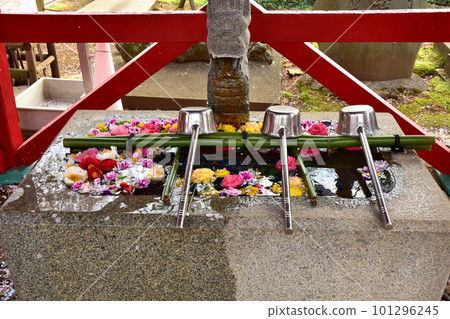 Rokujizo-ji Temple in spring, Ibaraki Prefecture 101296245
