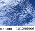 Blue sky and scaly cloud 101296906