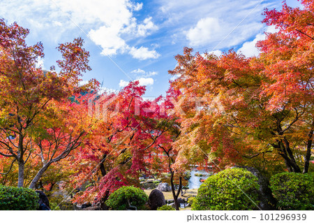 Garden scenery that shines in autumn leaves (Keisekien, Yabakei Dam Memorial Park) 101296939