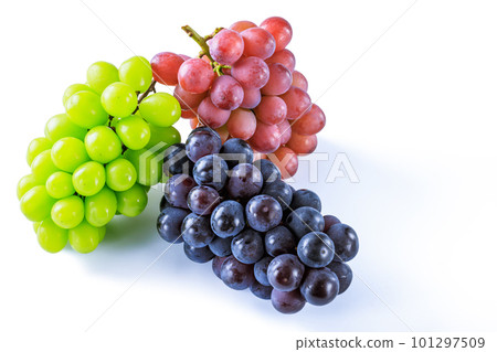 Grape Pione, Shine Muscat, and Queen Nina Grape Pione, Shine Muscat, and Queen Nina 101297509