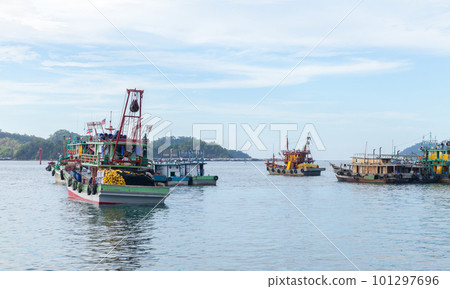Fleet of Malaysian fishing boats moored in Kota Kinabalu bay 101297696