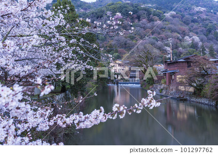 Scenery from Nakanoshima Bridge, branch of the Oi River in Arashiyama, Kyoto Cherry blossoms in full bloom Scenery from Nakanoshima Bridge, branch of the Oi River in Arashiyama, Kyoto Cherry blossoms in full bloom 101297762