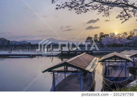 Arashiyama, Kyoto: Cherry blossoms in full bloom and Togetsukyo Bridge in the morning sun 101297780