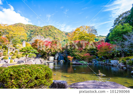 Garden scenery colored by blue sky and autumn leaves (Keisekien, Yabakei Dam Memorial Park) Garden scenery colored by blue sky and autumn leaves (Keisekien, Yabakei Dam Memorial Park) 101298066