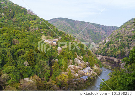 Early morning view of the Hozu River and Arashiyama in spring from the Arashiyama Park observation deck Early morning view of the Hozu River and Arashiyama in spring from the Arashiyama Park observation deck 101298233