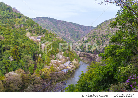 Early morning view of the Hozu River and Arashiyama in spring from the Arashiyama Park observation deck Early morning view of the Hozu River and Arashiyama in spring from the Arashiyama Park observation deck 101298234