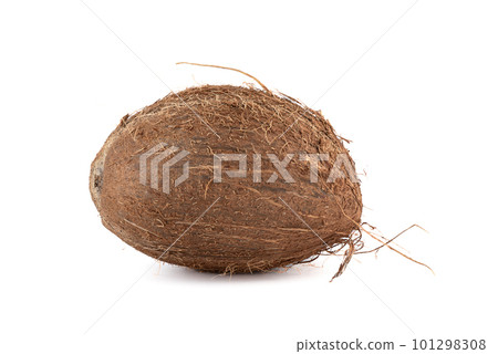 Side view of an unpeeled coconut on a white background. 101298308
