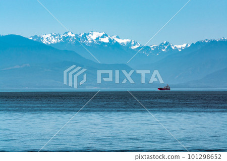 Freight vessel going over the bay on Pacific ocean at Vancouver island 101298652