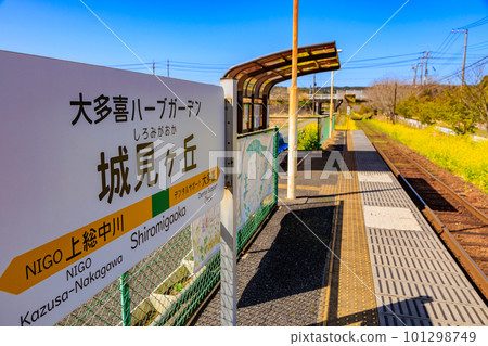 Chiba Prefecture: Shiromigaoka Station (Isumi Railway) where rape blossoms bloom 101298749