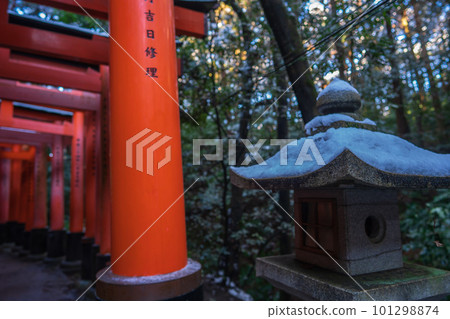 Senbon Torii和Shogunai風景採取在Inari寺廟在伏見ku,京都市 Senbon Torii和Shogunai風景採取在Inari寺廟在伏見ku,京都市 101298874
