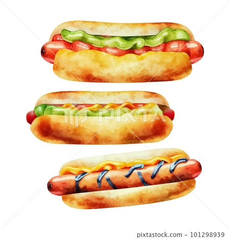Hand Drawn Hot Dog, Watercolor Sketch,Vector Illustration For Food Design. 101298939