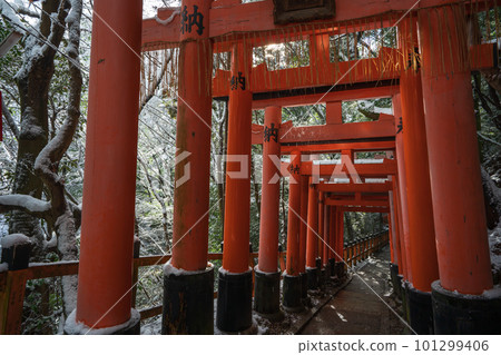 大阪府枚方市新名神高速公路施工現場 大阪府枚方市新名神高速公路施工現場 101299406