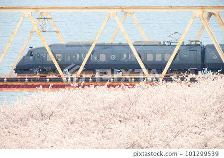 Limited express "Nichirin" crossing the cherry blossoms Ono River (JR Kyushu 787 series limited express train) Limited express "Nichirin" crossing the cherry blossoms Ono River (JR Kyushu 787 series limited express train) 101299539