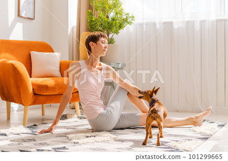 Cute woman practicing yoga with dog breed pygmy pinscher, enjoy and relax Cute woman practicing yoga with dog breed pygmy pinscher, enjoy and relax 101299665