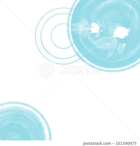 金魚 金魚 101300075