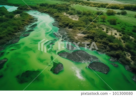 Bird eye view of amazing blooming algae on green river. Earth day concept. Bird eye view of amazing blooming algae on green river. Earth day concept. 101300080