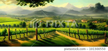 Vineyard Field on hills vector illustration. Artistic landscape with growing 101300550