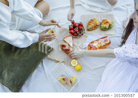 Happy female friends on picnic on the bank of a river 101300587