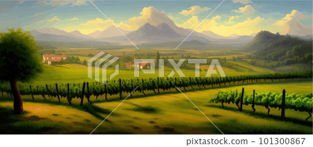 Vineyard Field on hills vector illustration. Artistic landscape with growing Vineyard Field on hills vector illustration. Artistic landscape with growing 101300867