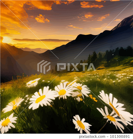 Flower field of daisies against the backdrop of mountains under a summer sunset 101300891