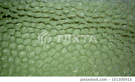 Soap bubbles in a tub of water, macro photo Soap bubbles in a tub of water, macro photo 101300918