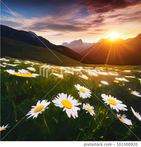 Mountains spring landscape. Mountain green valley with a field of daisies. Mountains spring landscape. Mountain green valley with a field of daisies. 101300920