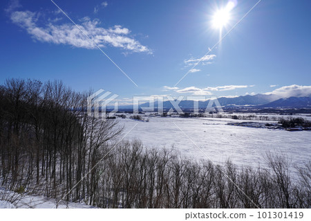 Pure white snow field seen from Bimatsu Panorama Park in winter Pure white snow field seen from Bimatsu Panorama Park in winter 101301419
