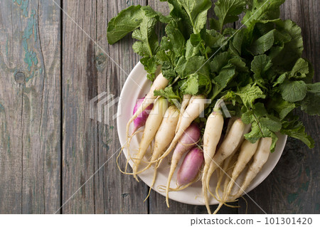 radish on a white plate radish on a white plate 101301420