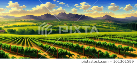 Vineyard Field on hills vector illustration. Artistic landscape with growing 101301599